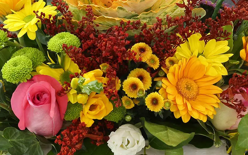 Get Well Flowers in Burlinton, NC - Roxie's Florist