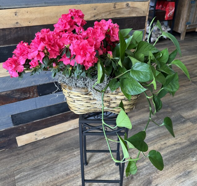 Blooming Plant Basket from Roxie's Florist in Burlington, NC